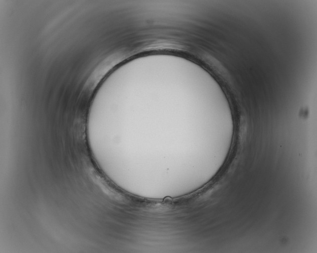 X0000112201321200909041308