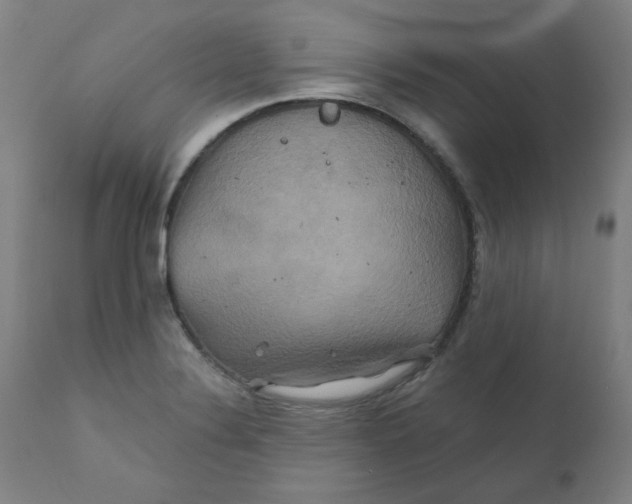 X0000112201324200909041308