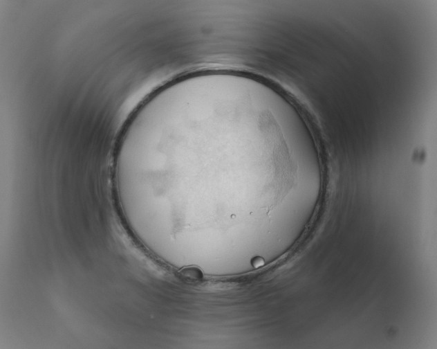 X0000112201325200909041308
