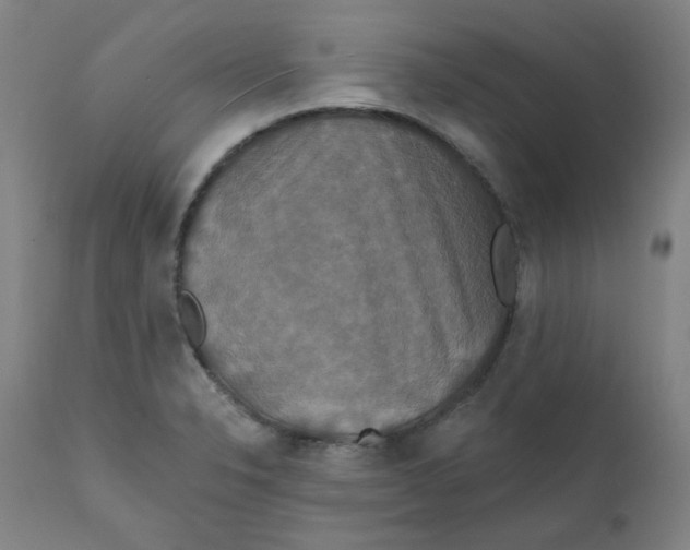 X0000112201326200909041308