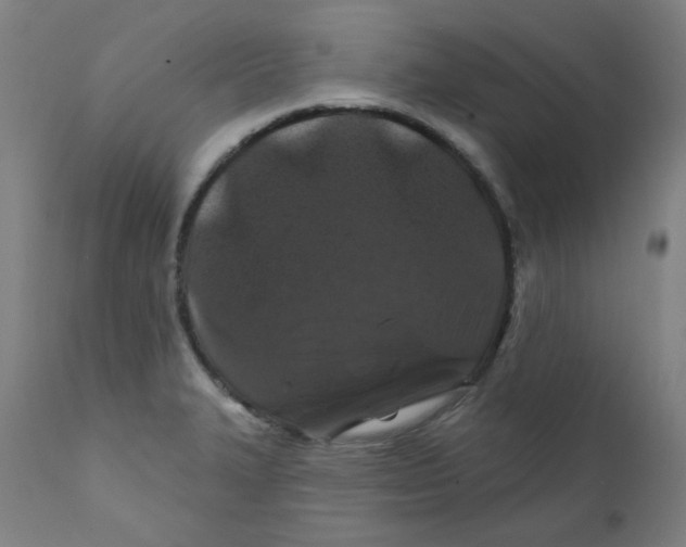 X0000112201327200909041308