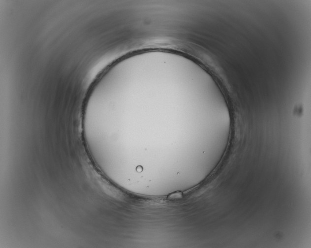 X0000112201328200909041308