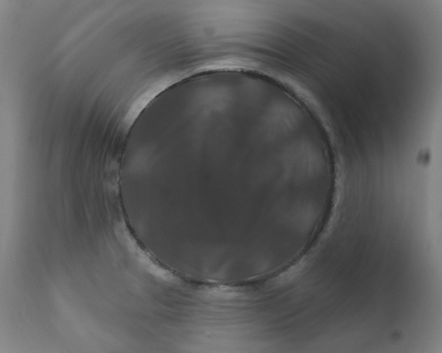 X0000112201329200909041308