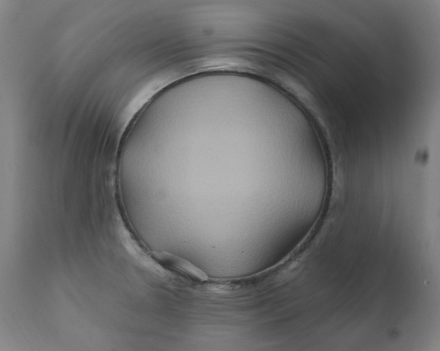 X0000112201330200909041308