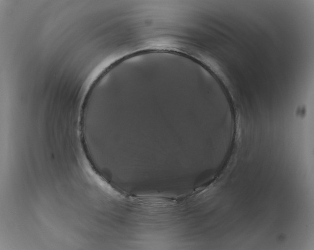 X0000112201331200909041308