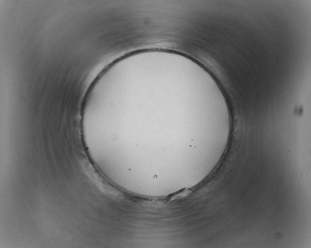 X0000112201332200909041308