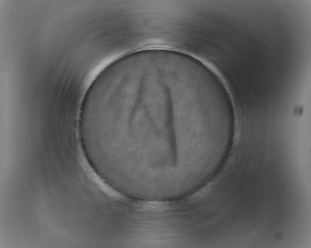 X0000112201333200909041308