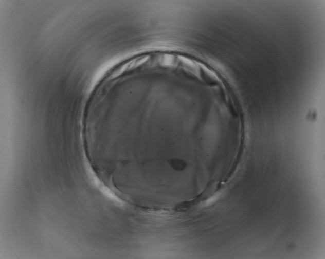 X0000112201334200909041308