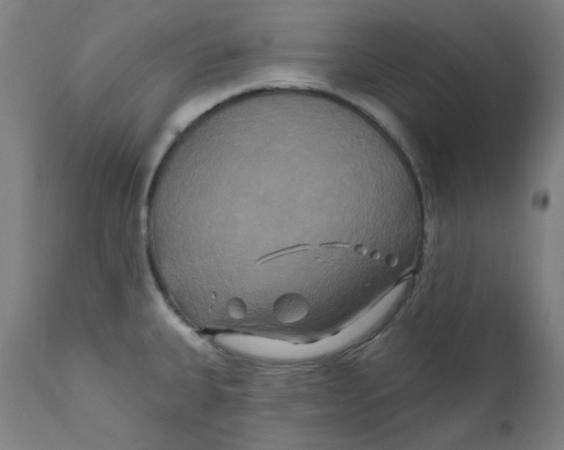 X0000112201335200909041308