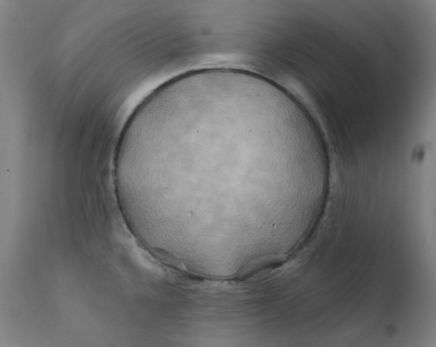 X0000112201336200909041308