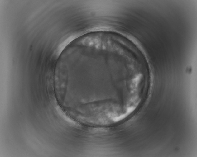 X0000112201337200909041308