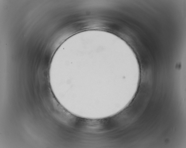 X0000112201338200909041308