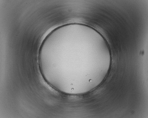 X0000112201339200909041308