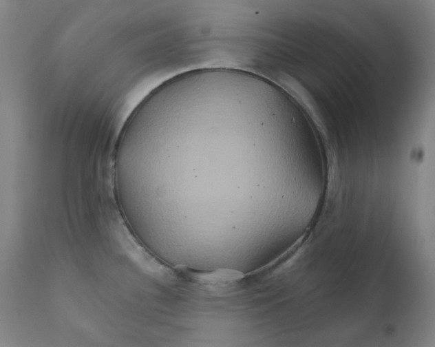 X0000112201340200909041308