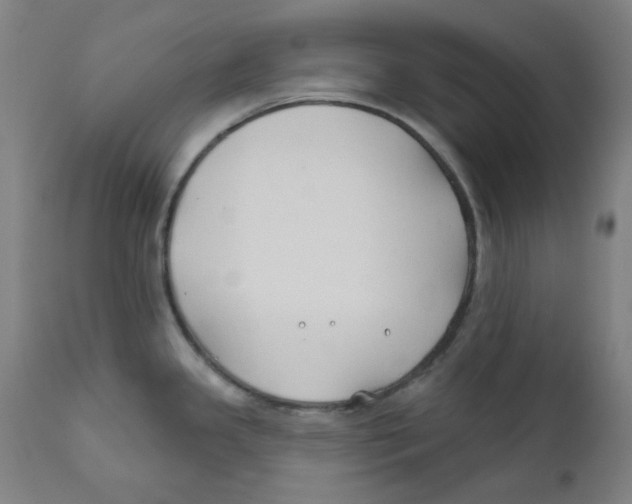 X0000112201341200909041308