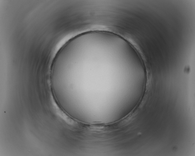 X0000112201342200909041308