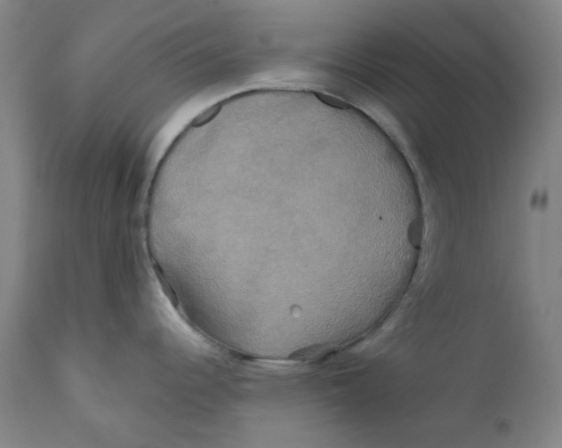 X0000112201344200909041308