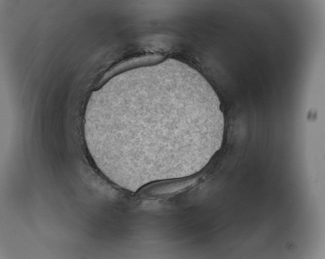 X0000112201345200909041307