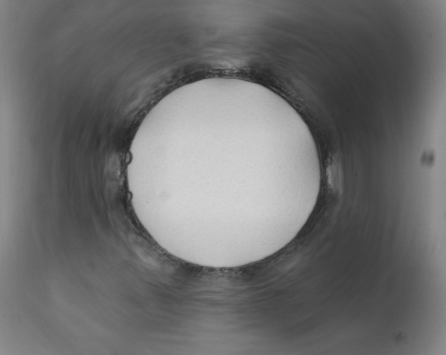 X0000112201347200909041307