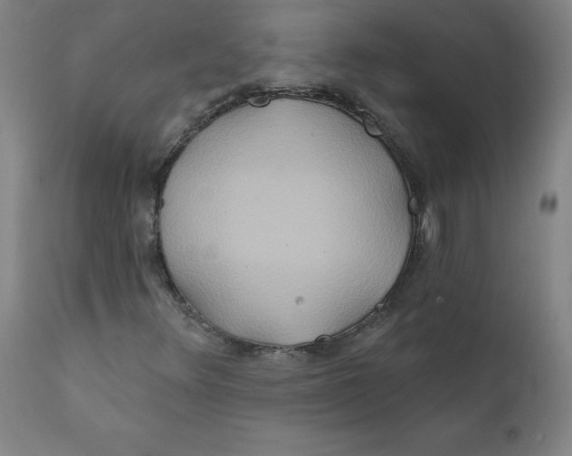 X0000112201348200909041307