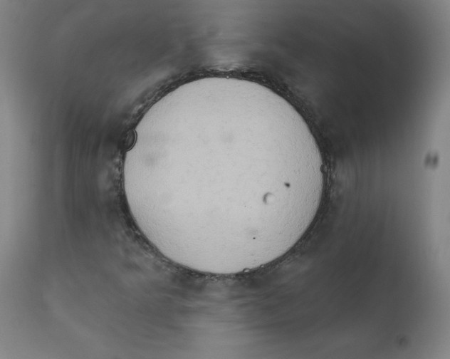 X0000112201349200909041307