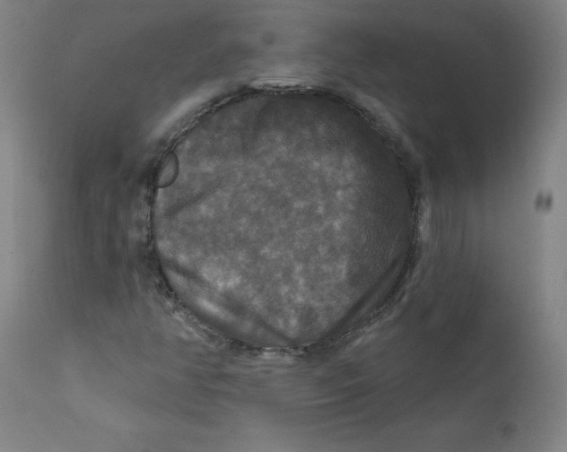 X0000112201350200909041307