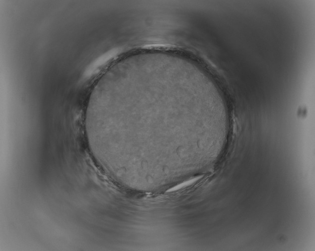 X0000112201351200909041307