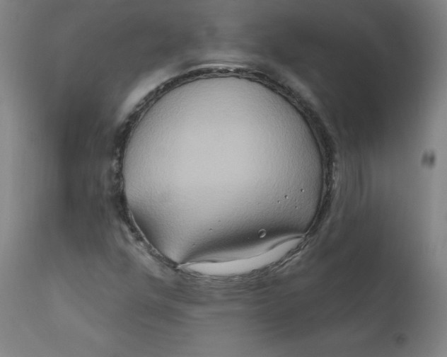X0000112201352200909041307