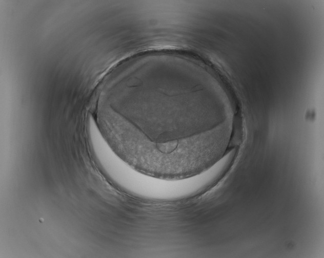 X0000112201353200909041307