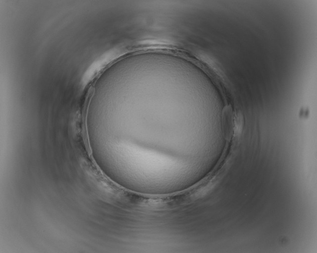 X0000112201357200909041307