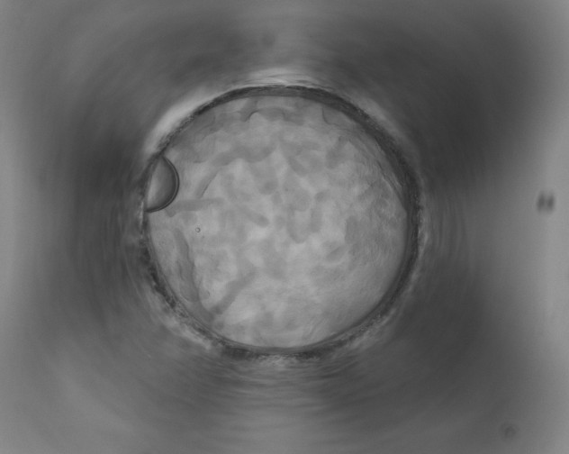 X0000112201358200909041307