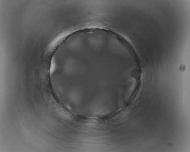 X0000112201359200909041307