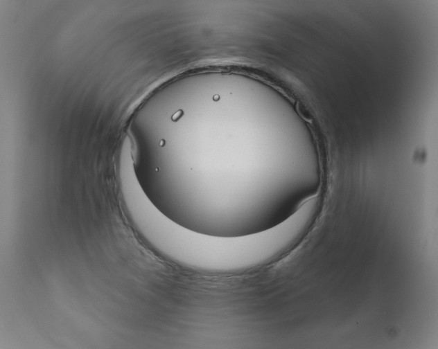 X0000112201361200909041307