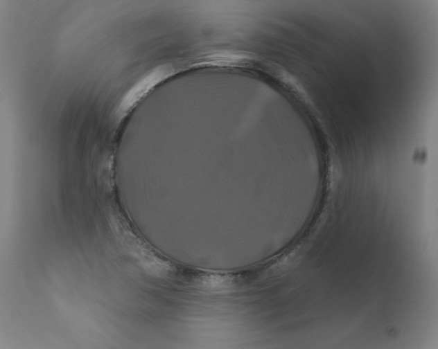 X0000112201362200909041307