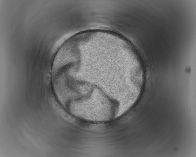 X0000112201363200909041307