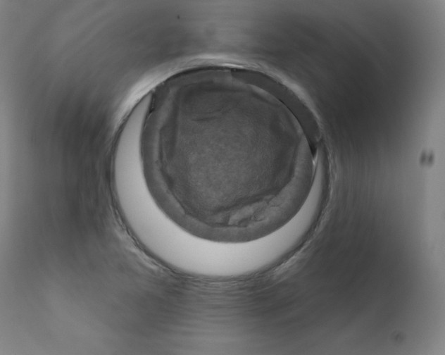 X0000112201365200909041307