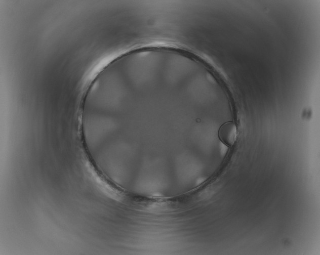 X0000112201367200909041307