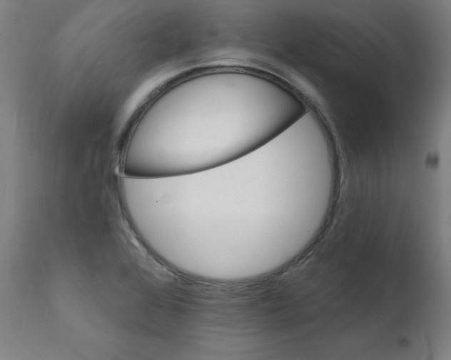 X0000112201368200909041307