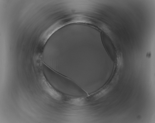X0000112201369200909041307