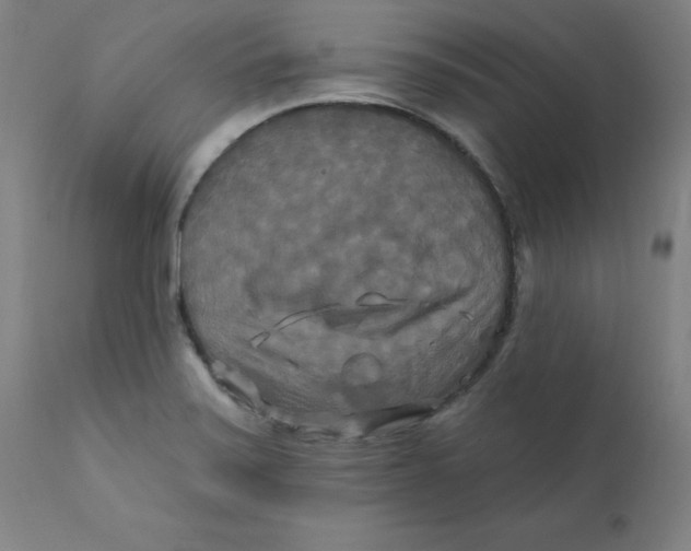 X0000112201371200909041307