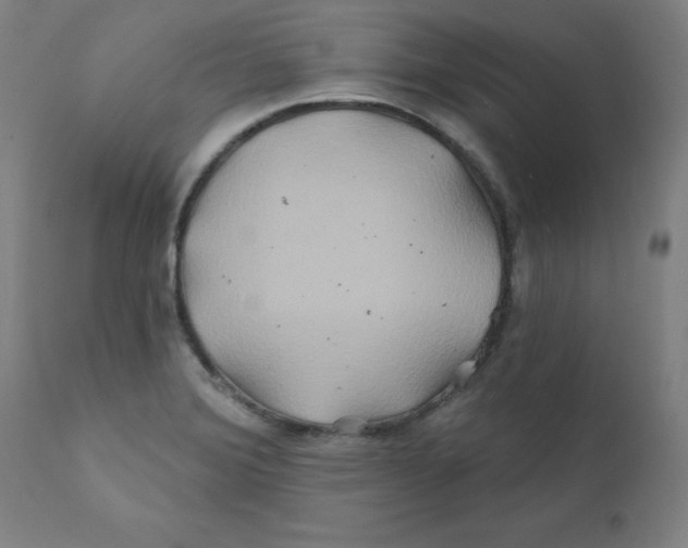 X0000112201372200909041307