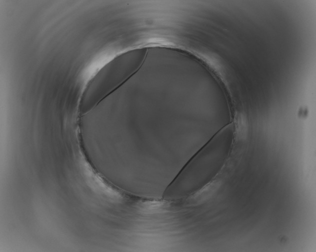 X0000112201373200909041307