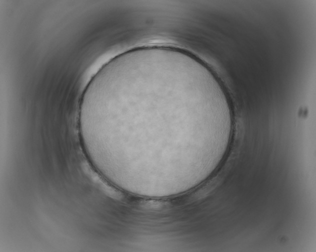 X0000112201374200909041307