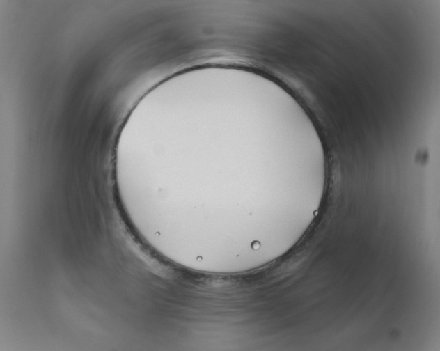 X0000112201375200909041307
