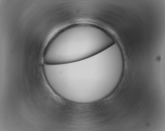 X0000112201376200909041307