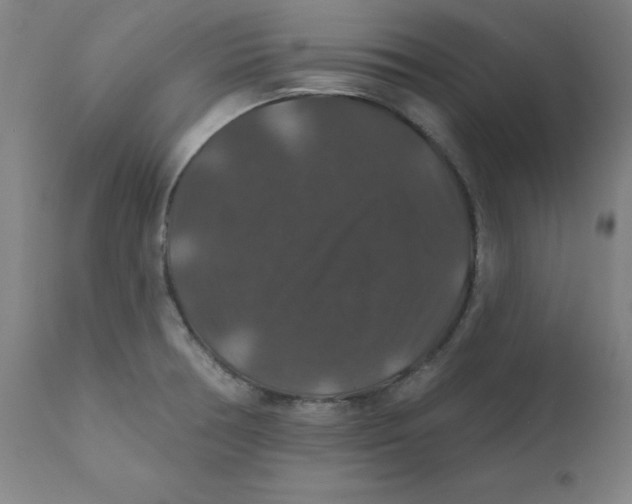 X0000112201378200909041307