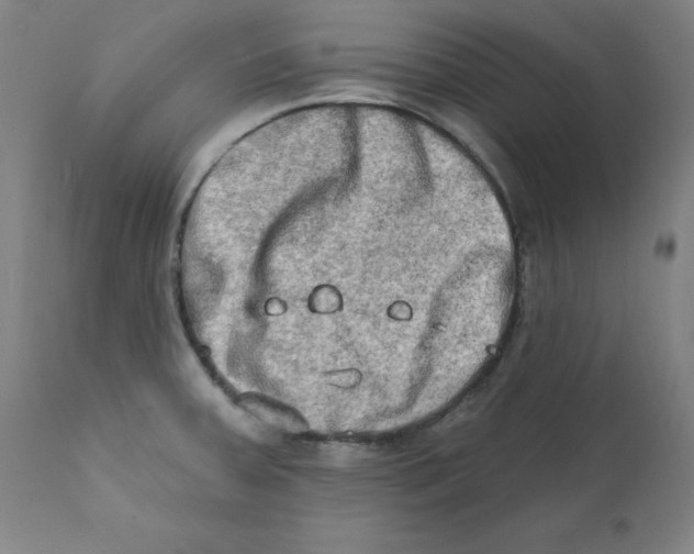 X0000112201379200909041307