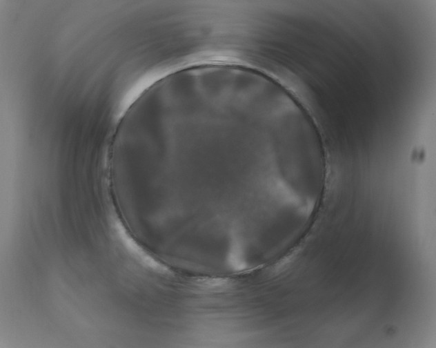 X0000112201382200909041307