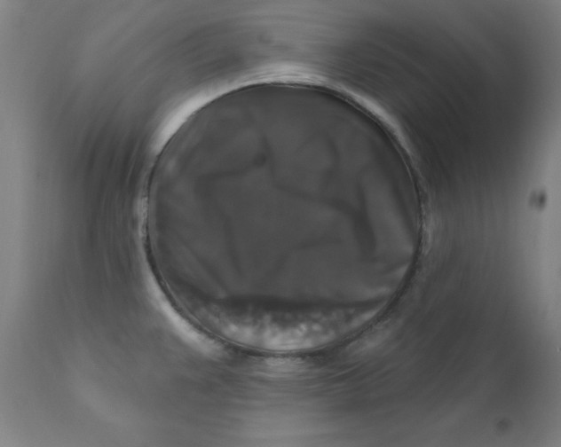 X0000112201383200909041307