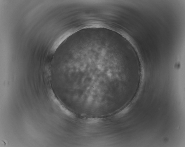 X0000112201385200909041307